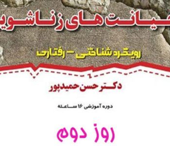 کارگاه خیانت زناشویی - دکتر حمیدپور جلسه دوم