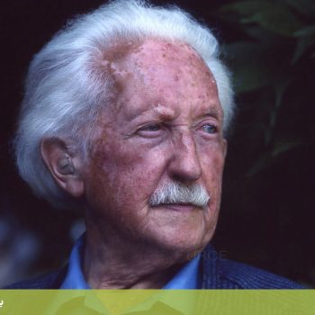 اریک اریکسون