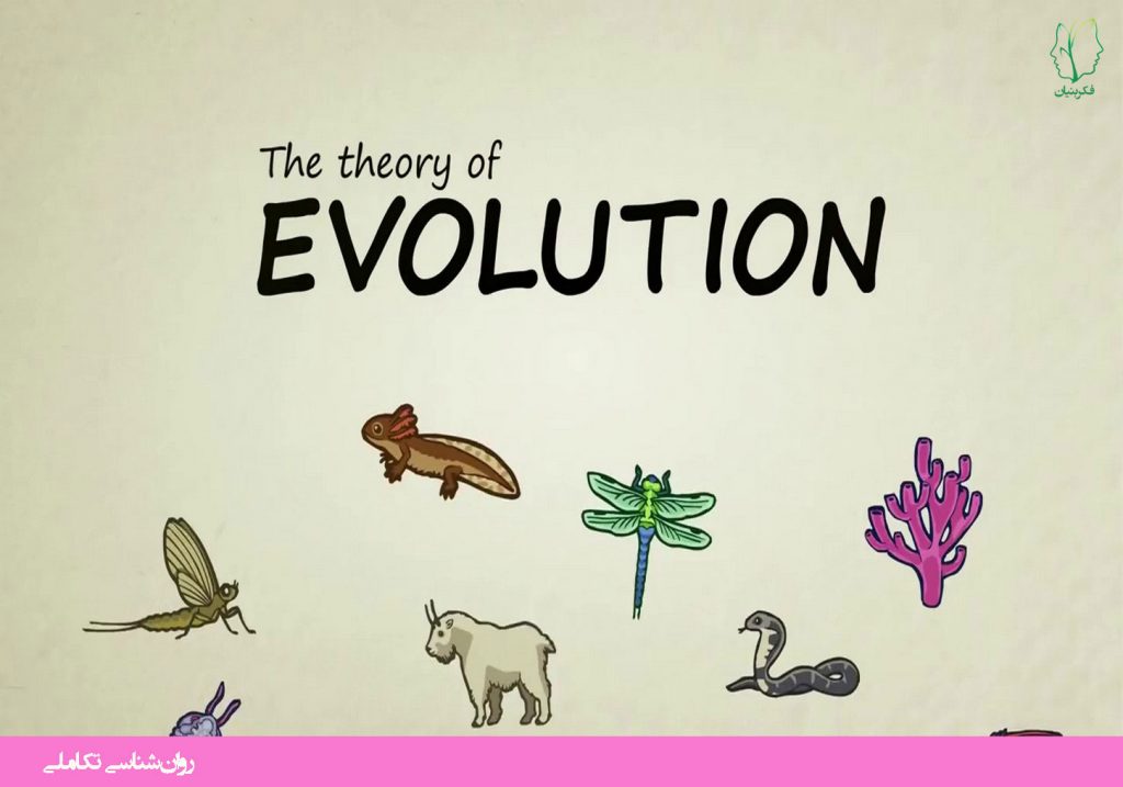 نظریه تکامل چیست؟