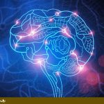توانایی مغز انسان