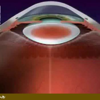 چگونگی پردازش اطلاعات بینایی