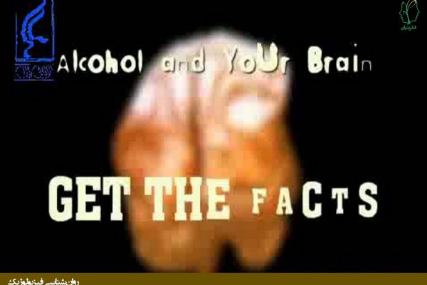 تاثیر الکل بر مغز