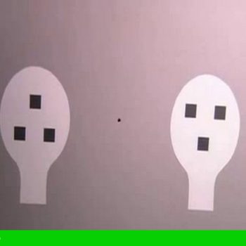 تشخیص چهره انسان در نوباوگان