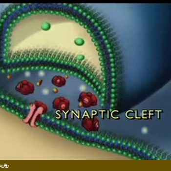 علت نوروشیمیایی افسردگی