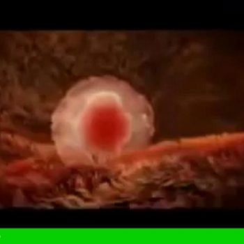 رشد پیش از تولد