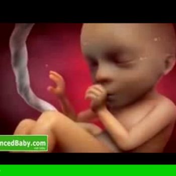 رشد پیش از تولد (یک)