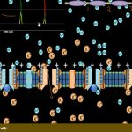 پتانسیل عمل - چگونگی انتقال پیام
