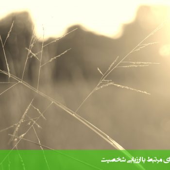 آزمون میزان امیدواری میلر