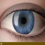 سفری به چشم شما