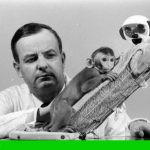 مطالعه هری هارلو روی دلبستگی میمونها