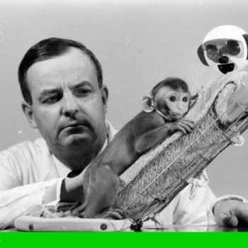 مطالعه هری هارلو روی دلبستگی میمونها