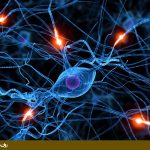 مسیر های دوپامین